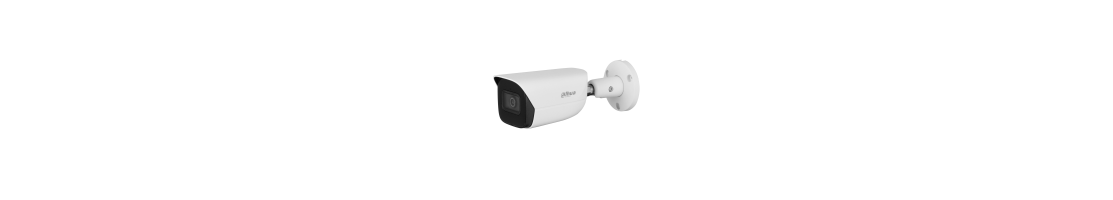 Telecamere Bullet